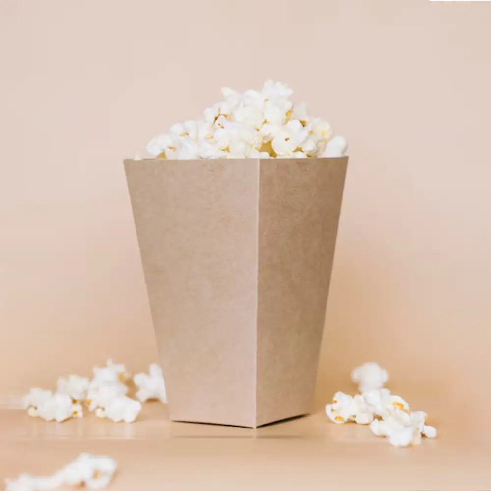 Cardboard Popcorn Boxes2 (1)