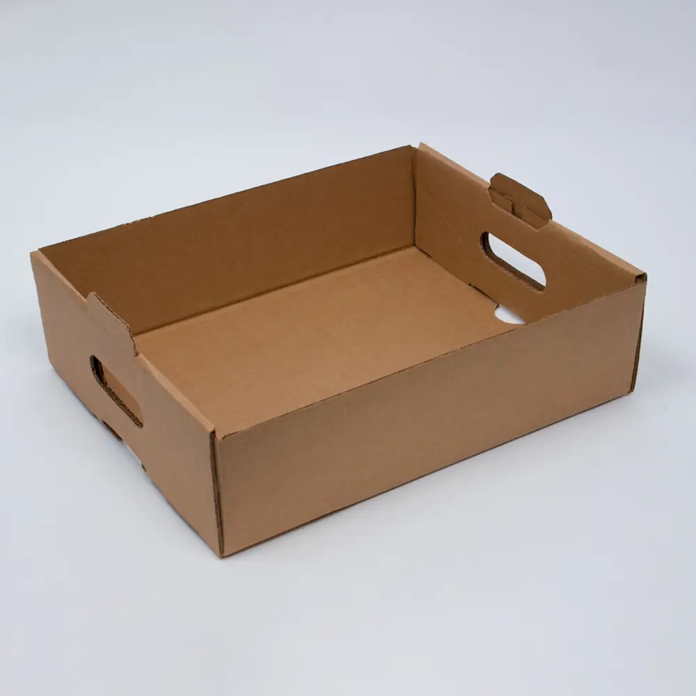 Cardboard Tray Boxes (1)