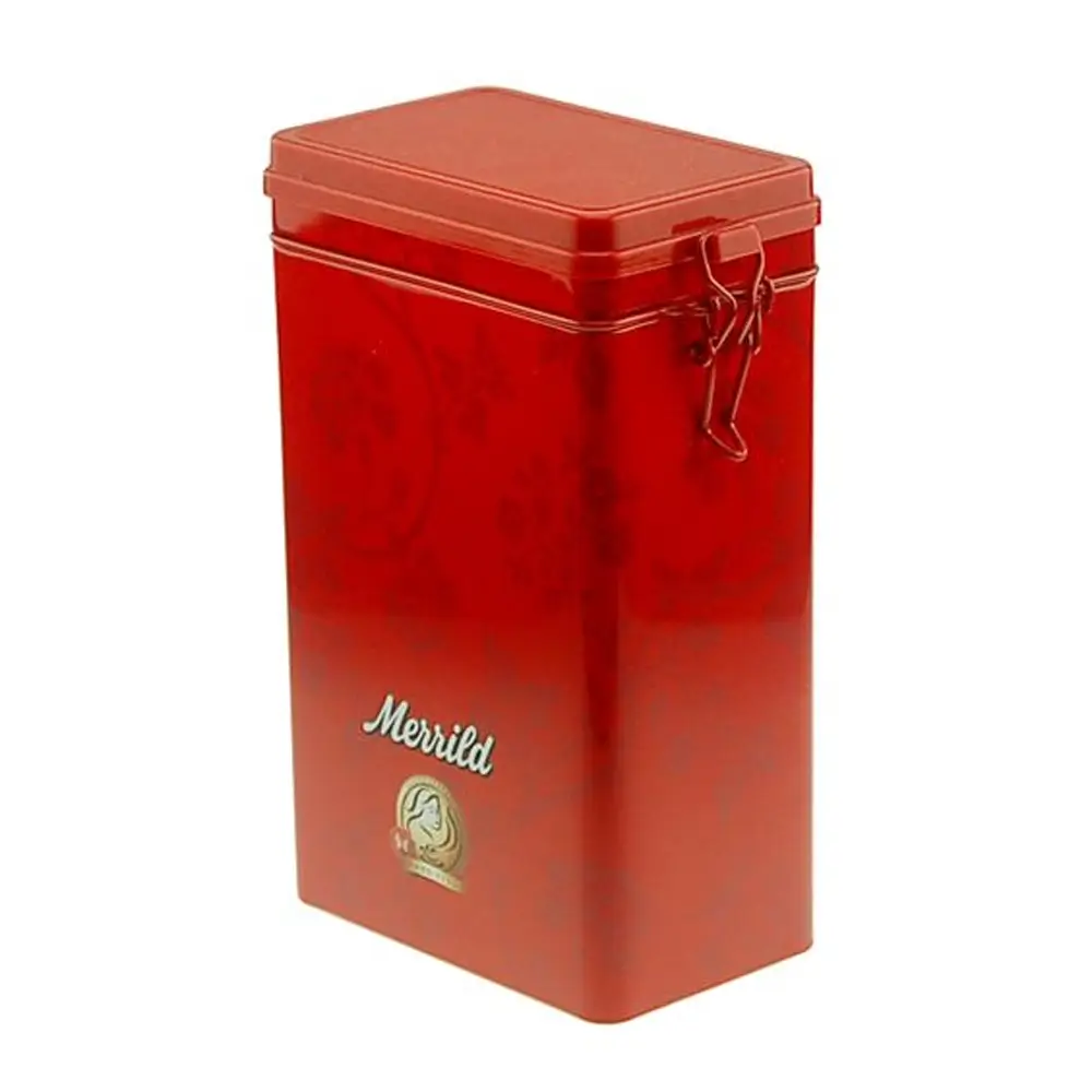 Custom Hinged Tin Boxes2 (1)